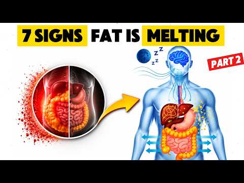7 Signs Your Visceral Fat Is Start Leaving Your Body | Part 2