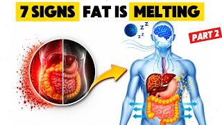 7 Signs Your Visceral Fat Is Start Leaving Your Body | Part 2