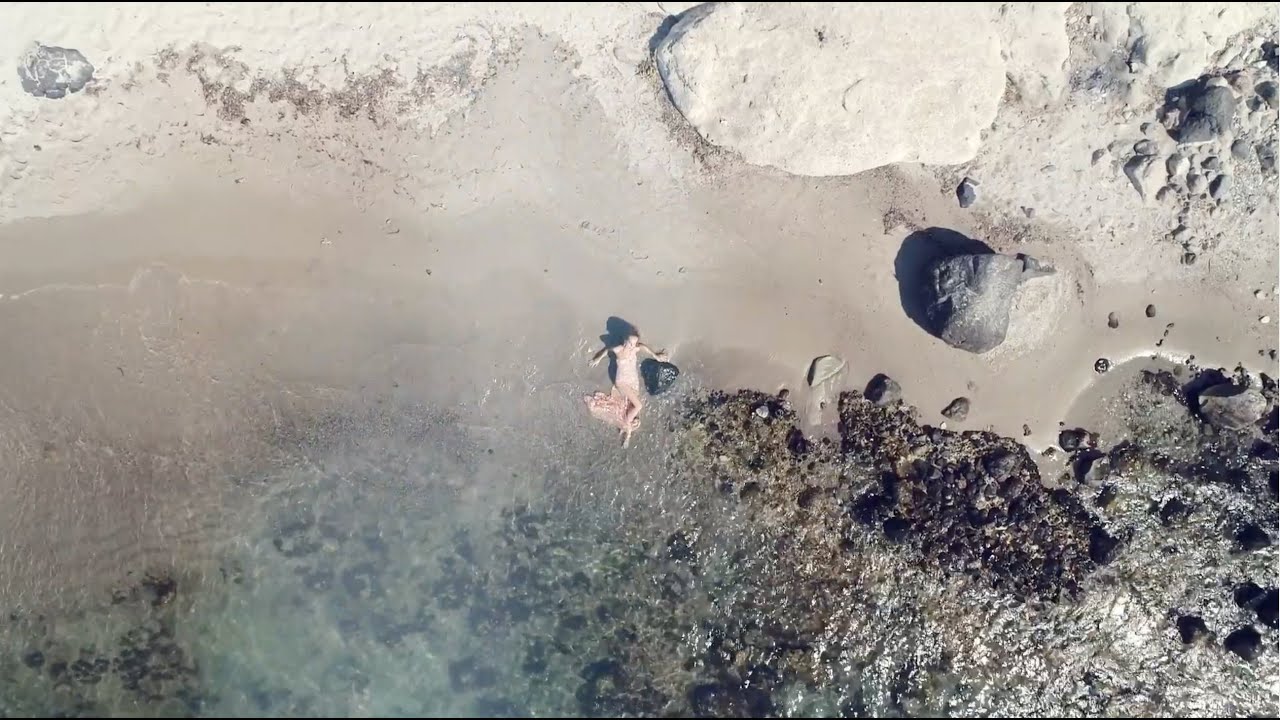 Alyce Paris Spring 2022