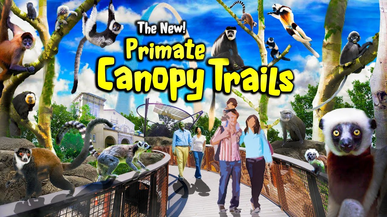 Zoo Tours The New! Primate Canopy Trails Saint Louis Zoo YouTube