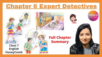 Chapter 6 Expert Detectives in Hindi Class 7 English Honeycomb #chapter6expertdetectivesinhindi