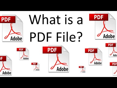 PDF Format -