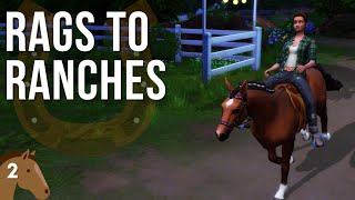 My Horse is Named Neighpoleon | The Sims 4 Horse Ranch (Part 2)