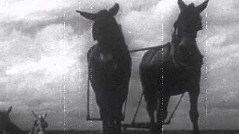 "Kill Your Darlings" Official Music Video by Joshu...