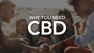Your Guide To Cbd