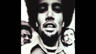 Ben Harper - Roses From My Friends chords
