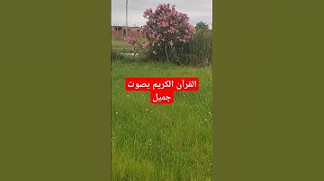 القرآن الكريم بصوت جميل #قرآن #اكسبلور #quran #تيك_توك #القرآن_الكريم #لايك #راحة_نفسية #ترند #في