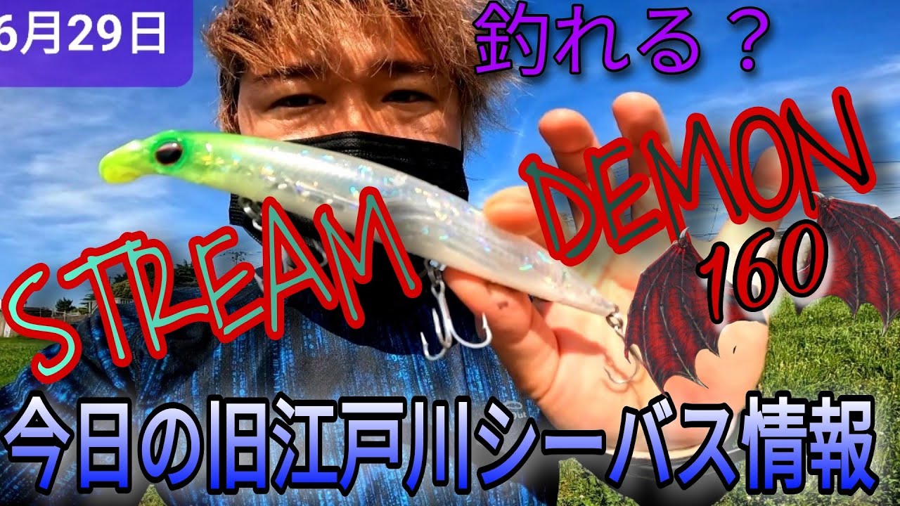 今日も猛暑な旧江戸川シーバス情報!ストリームデーモン! - YouTube