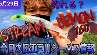 今日も猛暑な旧江戸川シーバス情報!ストリームデーモン! - YouTube