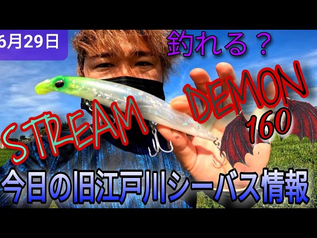 今日も猛暑な旧江戸川シーバス情報!ストリームデーモン! - YouTube