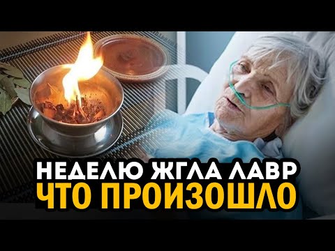 Все Жгут и молчат! Смотри, что происходит после лаврового дыма