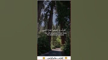 😢❤تلاوة مبكيه تخشع لها القلوب  #القارئ_سالم_الراعي  #quran