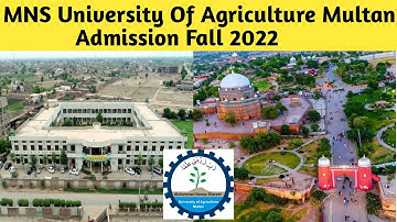 MNS University Of Agriculture Multan Admission 2022 | Nawaz Sharif University Multan Admission 2022