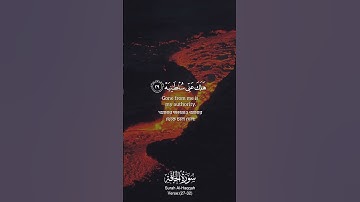 Surah Al-Haqqah Verse 27-32🎙️Sheikh Yaseer Al-Dosari #سورة_الحاقة #ياسر_الدوسري #القرآن_الكريم #الله