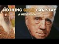 Nothing gold can stay  a fall meditation with shivpreet singh