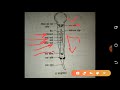 How To Draw A Weighing scale - Como desenhar uma balança passo a