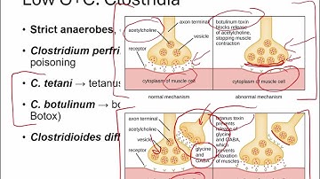 Openstax Micro Ch. 4 Video Part04 - Section 4.4
