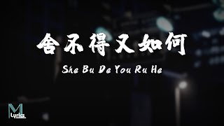 Yu Dong Ran (于冬然) - She Bu De You Ru He (舍不得又如何) Lyrics 歌词 Pinyin/English Translation (動態歌詞)