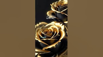 آيات من سورة الرحمن _ قرآن كريم _ تلاوة خاشعة #قرآن #راحة_نفسية #tiktok #duet #اكسبلور #دويتو
