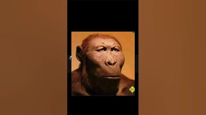 STUPID YouTube shorts comments