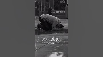 القارئ خالد جليل وَأُفَوِّضُ أَمْرِي إِلَى اللَّهِ إِنَّ اللَّهَ بَصِيرٌ بِالْعِبَادِ❤️❤️