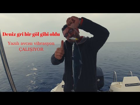 Deniz gri bir göl gibi oldu: Yazılı avcısı vibrasyon çalışıyor