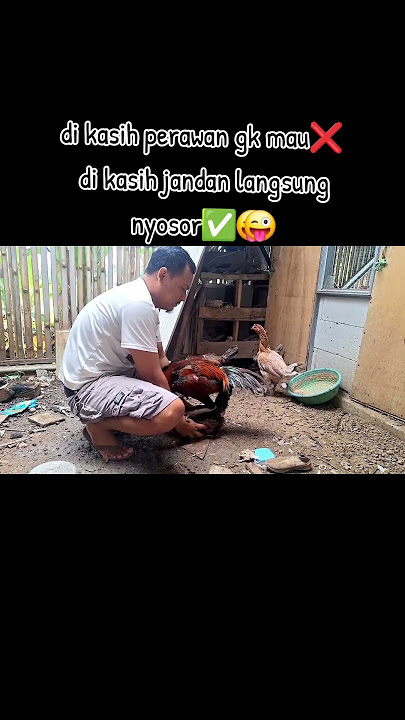 Perawan kalah dengan jandan🤭😜‼️‼️