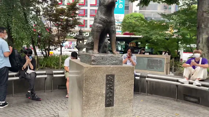 Hachiko Statue in Shibuya Tokyo#hachiko