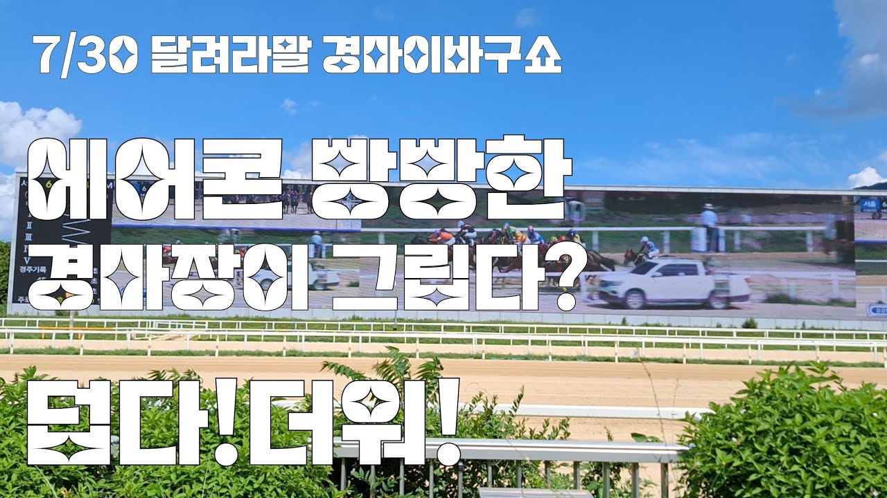 다음주는 이번주보다 더 덥다는데 경마도 한주더 쉴까요?