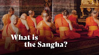 What is the Sangha? | Ajahn Amaro