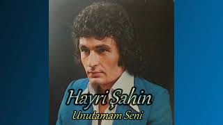 Hayri Şahin - Unutamam Seni Resimi