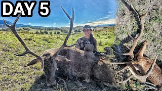 Holly's ARCHERY RED STAG  2024 RUT ROAR Trip  Day 5