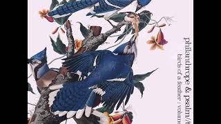 Philanthrope & Psalm Trees - Birds of a Feather [Full Album]