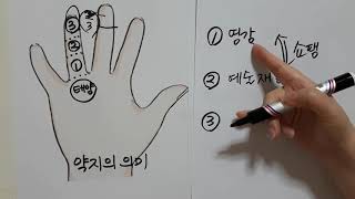 (손금) 제106강 약지의 의미#예술가#쇼팽손금#도박사의 상#부동산투자운#횡재수 로또#