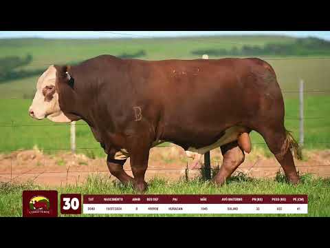LOTE 30   CERRO VERDE D040
