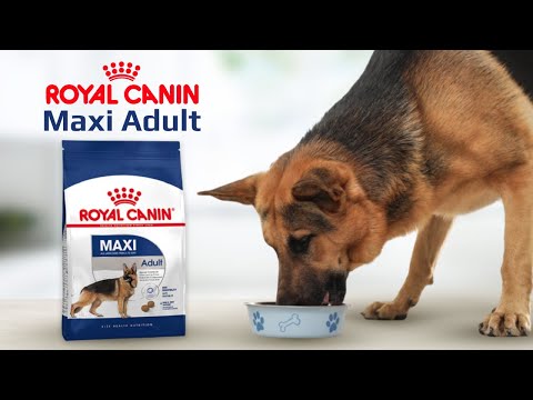Сухой корм Royal Canin Maxi Adult для собак крупных пород