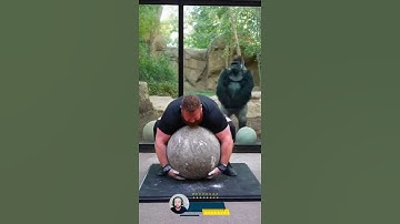 Gorilla Crushes Human Challenge #funny