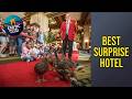 Peabody Memphis - Best Surprise Hotel | Memphis (TN), United States🌟