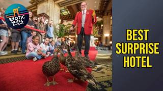 Peabody Memphis - Best Surprise Hotel | Memphis (TN), United States🌟
