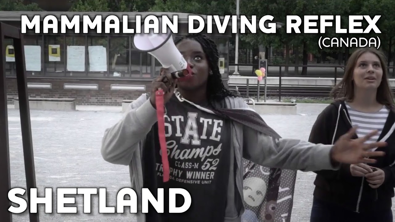 Futureproof | Aberdeen