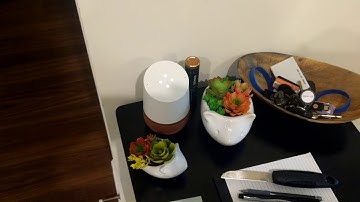 Google Home Proactive Notifications