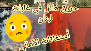 غابات عكار لبنان تلتهم الأشجار