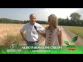 Pianeta Verde: Cascine Orsine di Bereguardo (PV): i pionieri dell'agricoltura Biodinamica