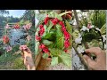 3 Amazing DIY flower tiara l Best gifting ideas for women's💡l tutorial🌸l#handmadejewelry#women#best