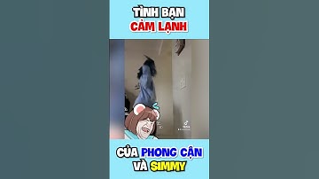 Tình Bạn Cảm Lạnh Của Phong Cận và Mèo Simmy