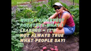 WHEN TO HARVEST POTATOES WHAT I LEARNED Homestead Vlog