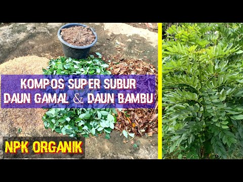 Video: Kompos Jamur Untuk Berkebun - Apa Itu Kompos Jamur