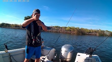 Sunfran Smart Jigger Jigging Machine Catches Fish 5/24/2020 8:14am