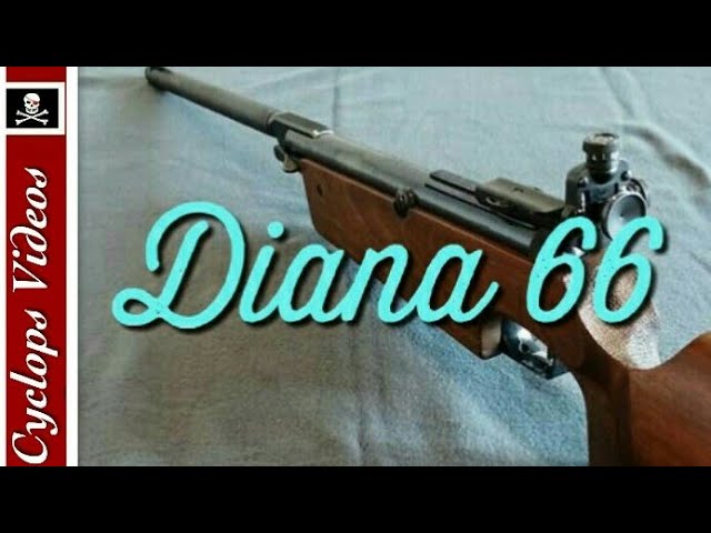 66 diana Diana Build