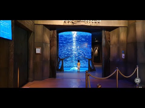 The Lost Chambers Aquarium at Atlantis The Palm – DUBAI